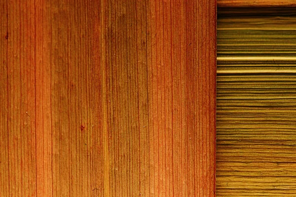 Textura folha de fibra vegetal — Fotografia de Stock