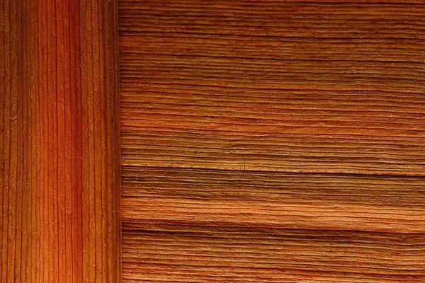 Textura folha de fibra vegetal — Fotografia de Stock