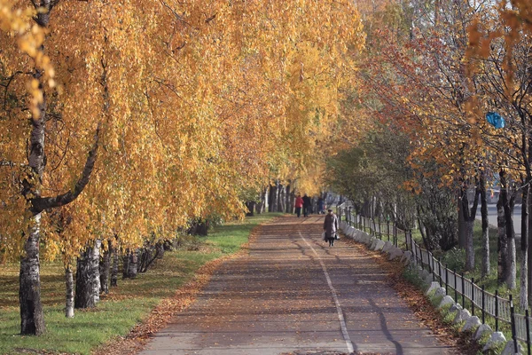 Ландшафт в городском парке — стоковое фото