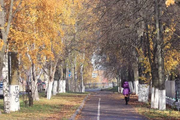 Осенний пейзаж в городском парке — стоковое фото