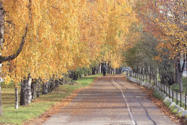 Podzimní krajina parku — Stock fotografie