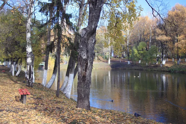 Caduta delle foglie nel parco autunnale — Foto Stock