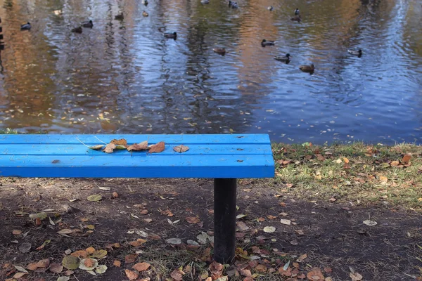 Bänk i höstparken — Stockfoto