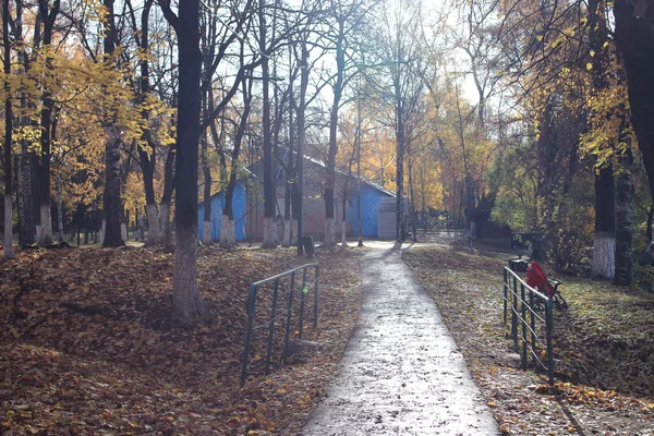 Caduta delle foglie nel parco autunnale — Foto Stock