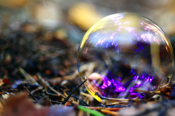 Необычная природа пузыря — стоковое фото