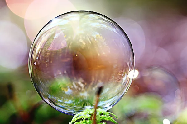 Unusual bubble background nature — Stock Photo, Image