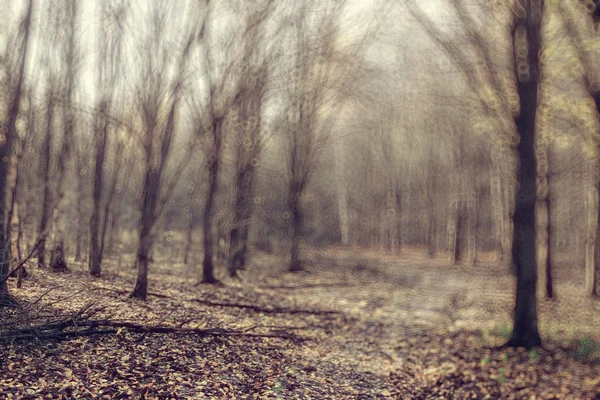 Verschwommener Hintergrund Herbstblätter — Stockfoto