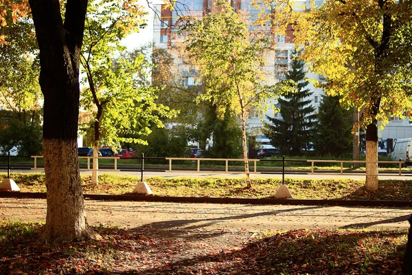 Paysage d'automne dans la nature — Photo