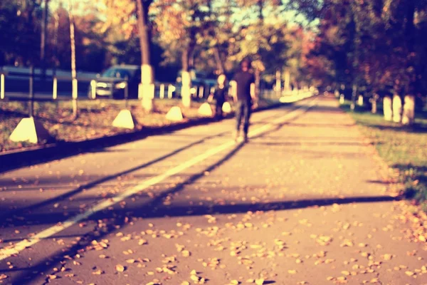 Paisaje en parque soleado — Foto de Stock