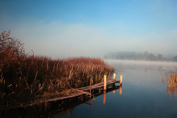 Zomer landschap in lake — Stockfoto