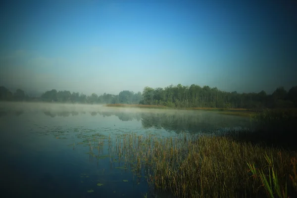 Zomer landschap in lake — Stockfoto