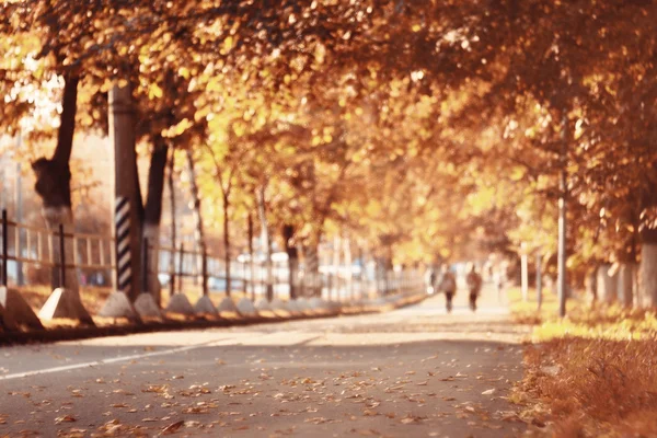 Herbst im america central park — Stockfoto