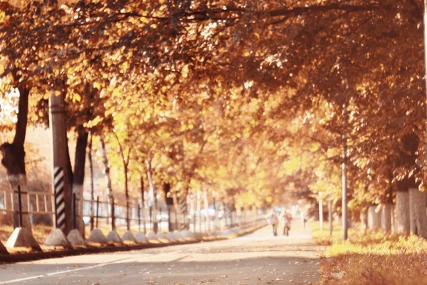 Herbstliche Straßenlandschaft — Stockfoto