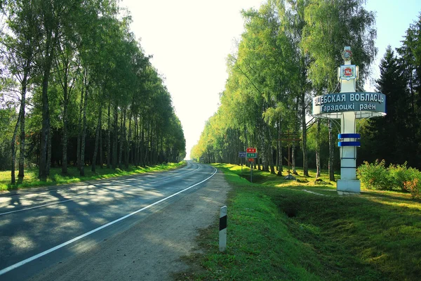 Belarus road among green trees — Stock Photo, Image