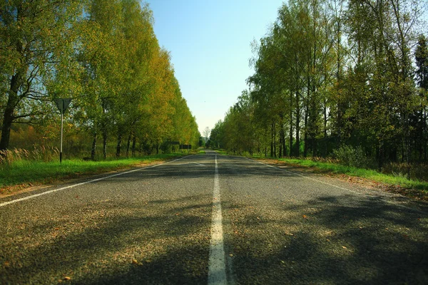 Sommar i stadsparken — Stockfoto