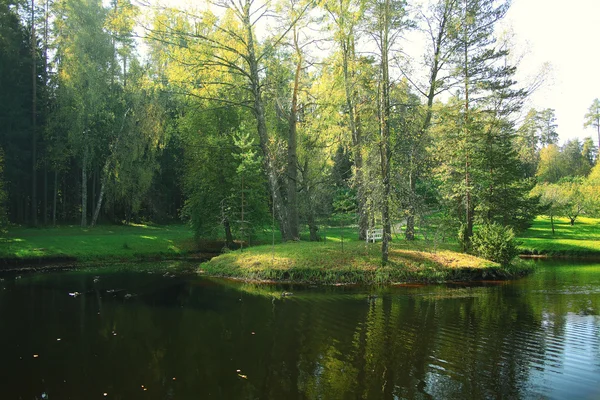 Summer in the city park — Stock Photo, Image