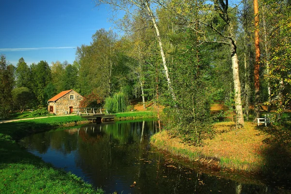 Lato w parku miejskim — Zdjęcie stockowe