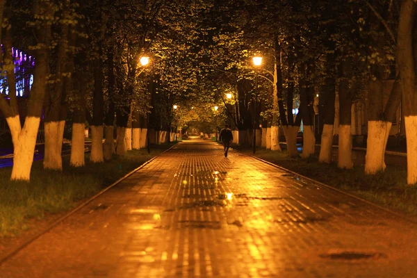 Paisaje nocturno en San Petersburgo — Foto de Stock