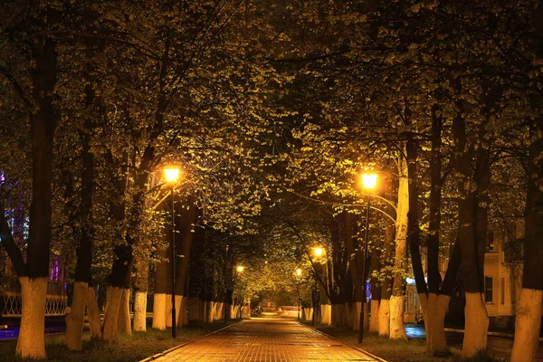 Callejón otoño en paisaje de la ciudad —  Fotos de Stock