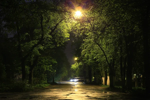 Nattlandskap i St Petersburg — Stockfoto