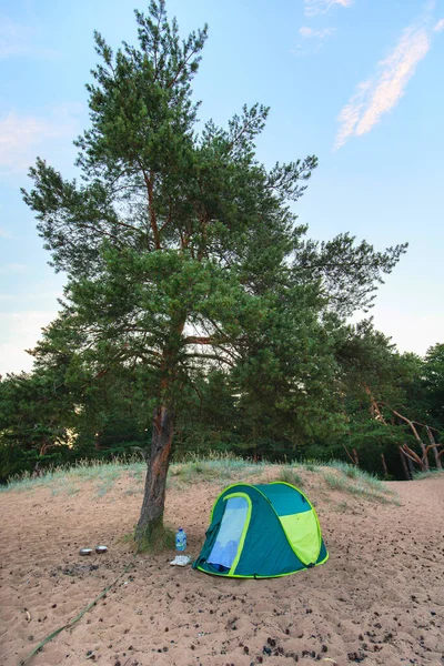 Vue Sur Une Tente Sous Arbre Sur Une Plage Sable — Photo