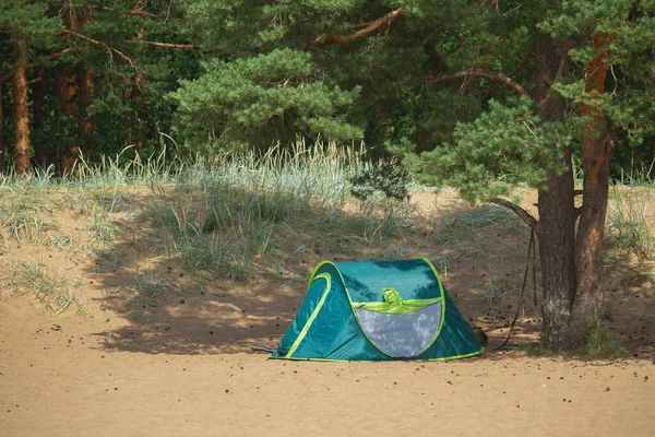 Vue Sur Une Tente Sous Arbre Sur Une Plage Sable — Photo