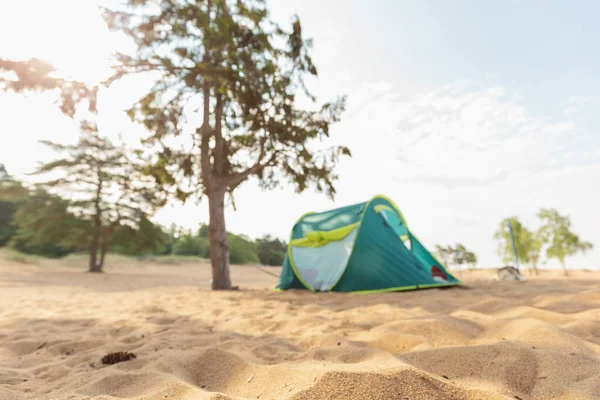 Vista Uma Tenda Sob Uma Árvore Uma Praia Areia Fundo — Fotografia de Stock