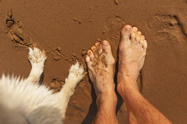 Yukarıdan kumsaldaki sahil şeridinde duran insan ve köpek ayaklarına bakın.