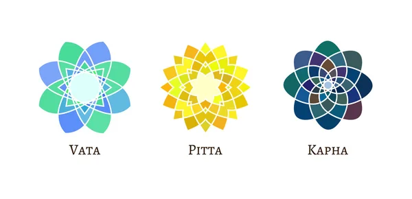 Ayurveda doshas type signs. — 스톡 벡터