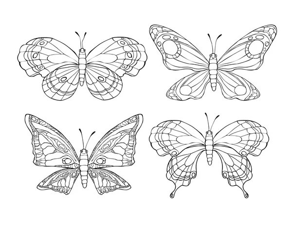 Colección de bonitas mariposas de dibujos animados aisladas sobre fondo blanco . — Archivo Imágenes Vectoriales