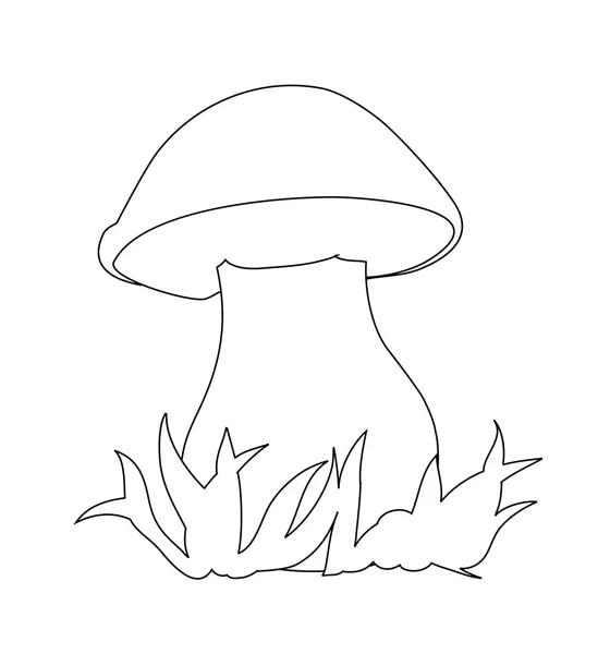 Image de porcini. Peut être utilisé pour le livre à colorier . — Image vectorielle