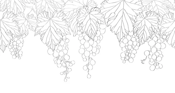 Patrón sin costura con racimo de uvas dibujadas a mano — Vector de stock