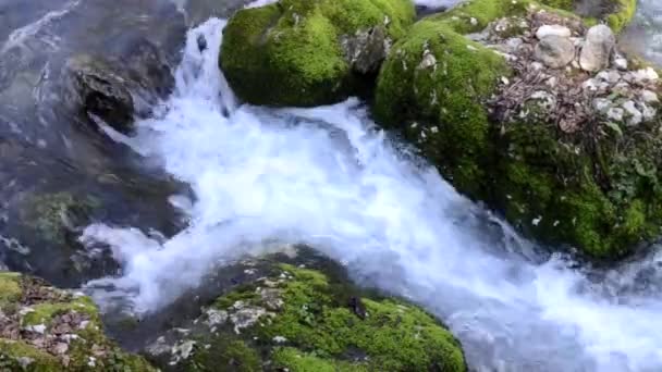 Berg rivier in Abchazië, Nieuw Athos, Kaukasus. — Stockvideo