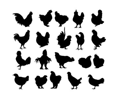 Big collection of cock and hen s black silhouettes clipart