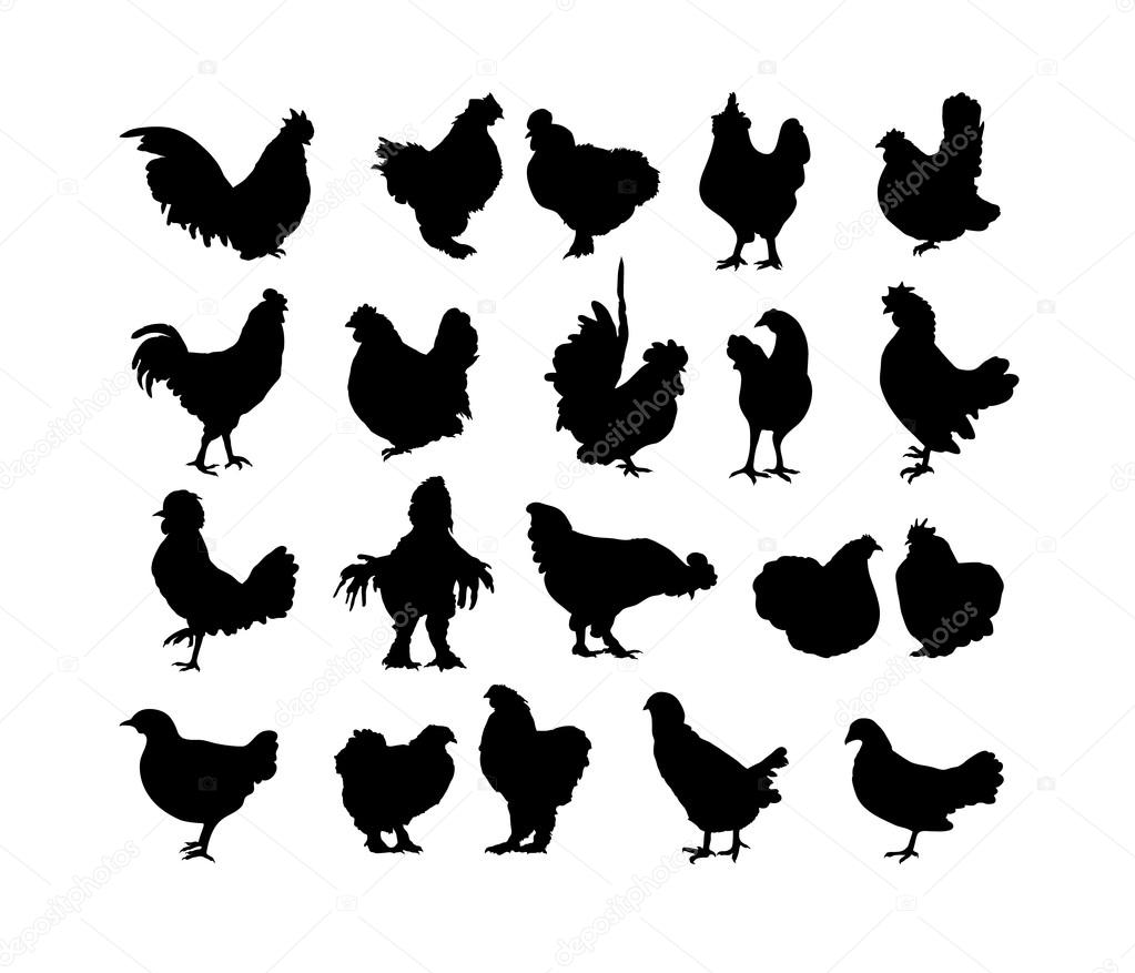 Big collection of cock and hen s black silhouettes