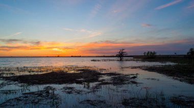 Mobile Körfezi 'nde mavi balıkçıl gün batımında Alabama Körfezi kıyısında. 