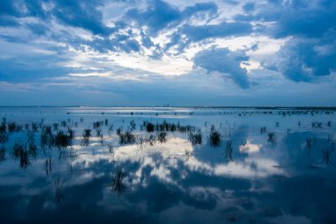 2021 Ağustos 'unda Alabama' nın Mobile Körfezi 'nin doğu kıyısında gün batımı 