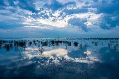 2021 Ağustos 'unda Alabama' nın Mobile Körfezi 'nin doğu kıyısında gün batımı 