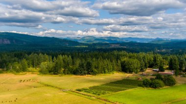 Mount Rainier ve the Cascade on the horizon in Washington State, ABD 