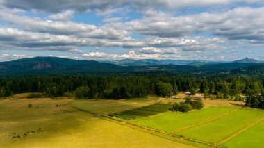 Mount Rainier ve the Cascade on the horizon in Washington State, ABD 
