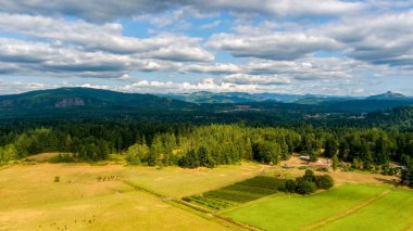 Mount Rainier ve the Cascade on the horizon in Washington State, ABD 