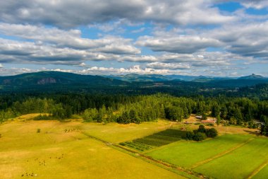 Mount Rainier ve the Cascade on the horizon in Washington State, ABD 