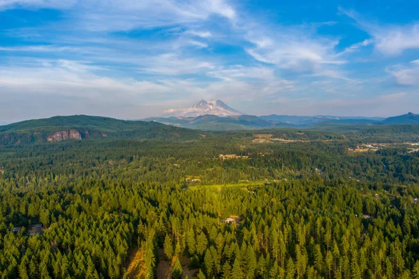 Monte Rainier Cascatas Horizonte Estado Washington Eua — Fotografia de Stock