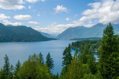 Cushman Gölü ve Washington Eyaleti 'ndeki Skokomish Parkı' ndaki Olimpiyat Dağları, ABD 
