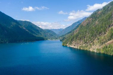 Cushman Gölü ve Washington Eyaleti 'ndeki Skokomish Parkı' ndaki Olimpiyat Dağları, ABD 