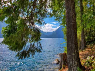 Cushman Gölü, Ağustos 2021 