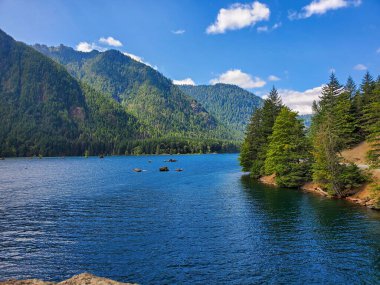 Cushman Gölü, Ağustos 2021 