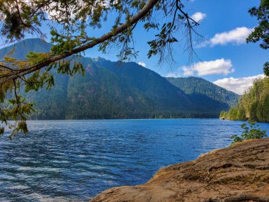 Cushman Gölü, Ağustos 2021 