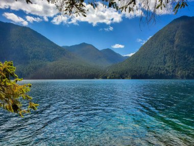 Cushman Gölü, Ağustos 2021 