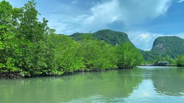 Krásná příroda zachycena při cestování po klidné řece na tropickém ostrově. — Stock video